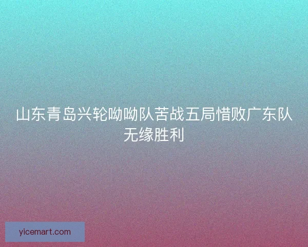 山东青岛兴轮呦呦队苦战五局惜败广东队无缘胜利